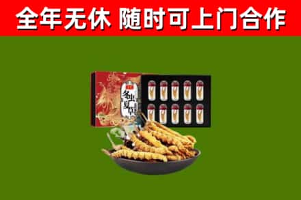 巴中市回收冬虫夏草价格