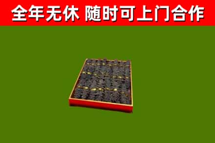巴中市回收海参